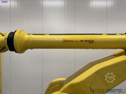 FANUC M-900iA/260L