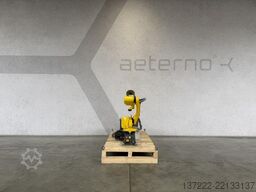 FANUC M-10iA