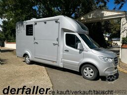 Mercedes-Benz Sprinter 319 STX 1-2 Pferde Hengsttrennung