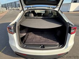 TESLA Model Y Long Range Dual AWD Pano 360° LED