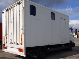 MAN 8153 PAARDENVRACHTWAGEN