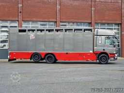 DAF CF 360 SpaceCab 6x2*4 - Menke Janzen Livestock ...