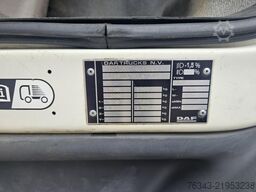 DAF LF 290 FA - E6