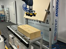 FJM Palettierer HYDRA cobot palletizer