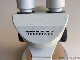Wild Heerbrugg M3 – profesjonalny mikroskop Wild Heerbrugg M3 – profesjonalny mikroskop