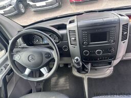 MERCEDES-BENZ Sprinter II Kasten 313 CDI AHK Xenon Standheizun