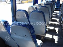 Iveco Indcar / Next / Atego / Eurocargo