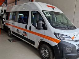 FIAT Ducato 9 Sitzer Mobility Airlineboden Rolli