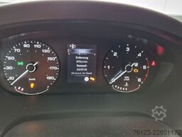 FIAT Ducato 9 Sitzer Mobility Airlineboden Rolli