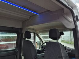 FIAT Ducato 9 Sitzer Mobility Airlineboden Rolli