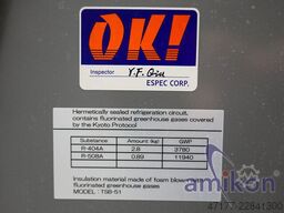Espec TSB-51 -65°C bis +200°C