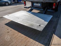 RENAULT MIDLUM 280DXI+POUSSIN/CHICKEN/KUIKEN/KÛKEN