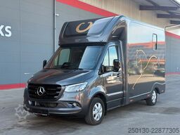 MERCEDES-BENZ SODIAK HORSE 2 Pferde Luxus Sprinter