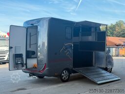 MERCEDES-BENZ SODIAK HORSE 2 Pferde Luxus Sprinter