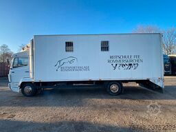 MERCEDES-BENZ 814 4 Pferde