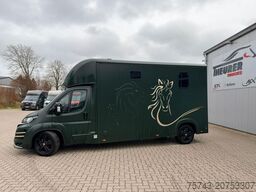 FIAT Ducato EXKLUSIVE Hengstmodel