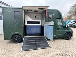 FIAT Ducato  EXKLUSIVE Hengstmodel