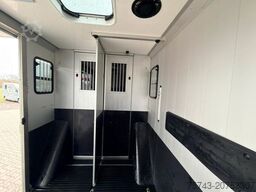 FIAT Ducato EXKLUSIVE Hengstmodel