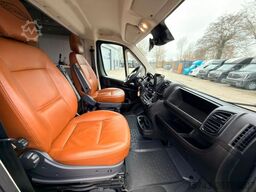 FIAT Ducato  EXKLUSIVE Hengstmodel