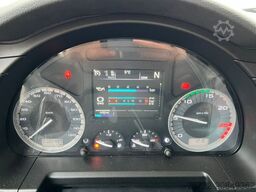 IVECO S-WAY 490/BAUSTOFF/KRAN PALFINGER ODER FASSI