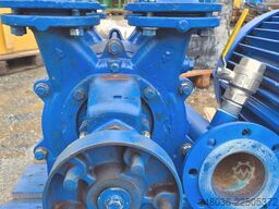 Siemen & Hinsch LPHY60520