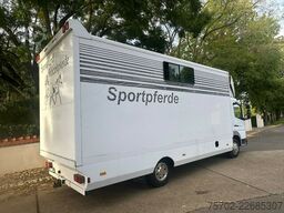 Mercedes-Benz 817 2-4 Pferde