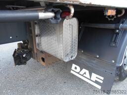 DAF XF 105.460 FAN 6x2 CENTINATO