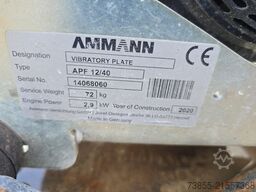 Package 2x Ammann APF 1240 (2020, 2020); 1x Steinweg Boy Standard (2017)