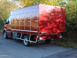 MERCEDES-BENZ Sprinter 310  Cold Car -33°C ATP 05/29 Euro 6