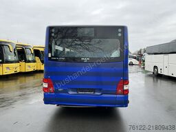 MAN A 23 Lions City G