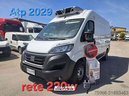 FIAT DUCATO 2023 MULTIJET L2H2 FRIGORIFERO AT