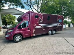 Fiat Ducato Bloomfields 1-2 Pferde Wohnung