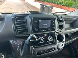 Fiat Ducato Bloomfields 1-2 Pferde Wohnung