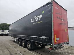FLIEGL SDS 390