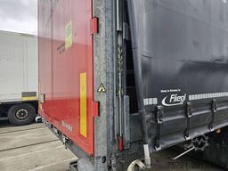 FLIEGL SDS 390