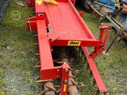 Rau Frontsterntiller