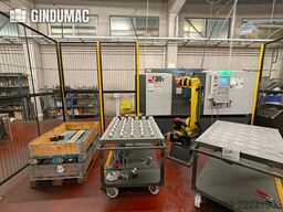 HAAS DS30Y