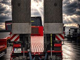 FLIEGL Hubtisch, Gitterrostboden, E-Hydr., Seilwinde