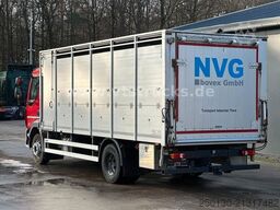 DAF LF 280 4x2 BL 1.Stock Viehwagen ACC LDW CAM