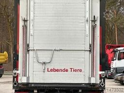 SCANIA R500 6x2/4 LL 4.Stock Menke Tränke Hubdach