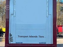 SCANIA R520 6x2 LL 4.Stock Menke Hubdach Tränke Retarde