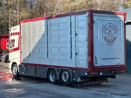 SCANIA R520 6x2 LL 4.Stock Menke Hubdach Tränke Retarde