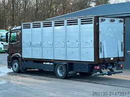 MERCEDES-BENZ Antos 1833L 1.Stock Finkl Viehwagen Klima 34m³