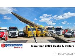  FS9, Autotransport-Anhänger, Hubplattform