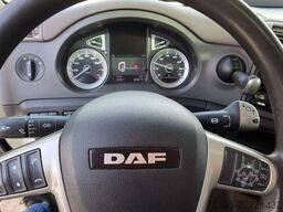 DAF CF 260 Bak+Klep Dhollandia 2000 kg