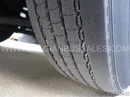 Temsa Safari HD 13 / 13.1m / Euro 6 / Full Option