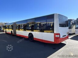 MAN A 23 Lions City G