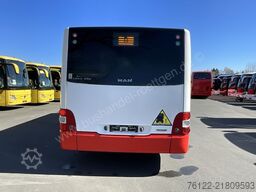 MAN A 23 Lions City G