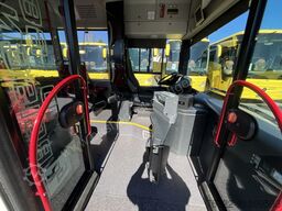 MAN A 23 Lions City G