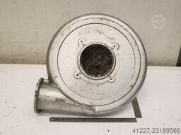 Dietz DG 71 b 1286